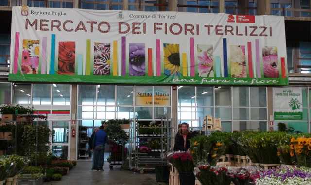 Ore 5.30 di mattina, suona la sirena: c' il mercato dei fiori di Terlizzi